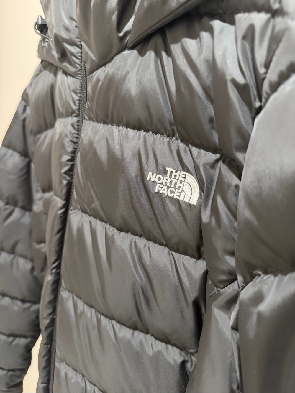 The North Face Women's Black Hooded Puffer Jacket